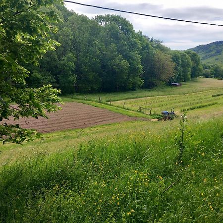 Nabat Le Haut, Chambre Et Table D'Hotes Courniou Exterior foto